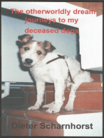 The otherworldly dream journeys to my deceased dogs