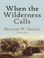 When the Wilderness Calls – Bertrand W. Sinclair Collection: Raw Gold, Hidden Places, The Land of Frozen Suns, North of Fifty-Three & more