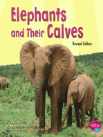 Elephants and Their Calves