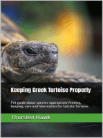 Keeping Greek Tortoise Properly: Pet guide about species-appropriate feeding, keeping, care and hibernation for Sulcata Tortoise.