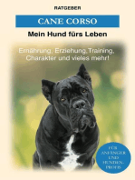 Cane Corso: Erziehung, Training und Charakter von Cane Corso