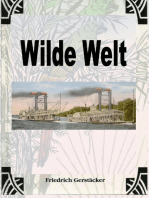 Wilde Welt: Gesammelte Erzählungen 2. Serie