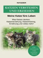 Katzen verstehen und erziehen: Der Katzenratgeber — Was Katzen denken, Katzenerziehung, Katzentraining, Ernährung und vieles mehr!