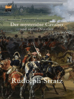 Der mysteriöse Cavalier und andere Novellen
