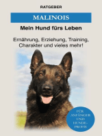 Malinois: Erziehung, Training, Charakter und vieles mehr von Malinois