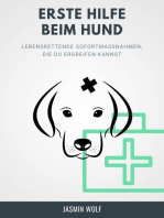 Erste Hilfe beim Hund: Lebensrettende Sofortmaßnahmen, die Du ergreifen kannst.