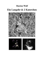 Ein Langohr & 2 Katerchen