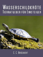 Tierratgeber für Einsteiger - Wasserschildkröten