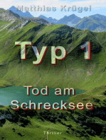 Typ 1: Tod am Schrecksee
