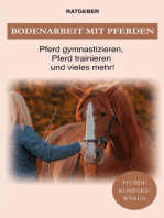 Bodenarbeit Pferd: Bodenarbeit mit Pferden, Pferd gymnastizieren, Pferdetraining und vieles mehr!