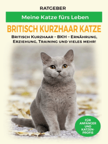 Britisch Kurzhaar Katze: Erziehung, Ernährung und Pflege der Britisch Kurzhaar Katzen
