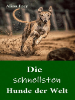 Die schnellsten Hunde der Welt