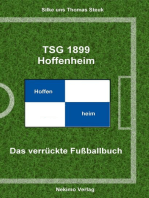 TSG 1899 Hoffenheim: Das verrückte Fußballbuch