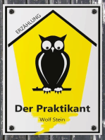 Der Praktikant