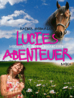 Lucies Abenteuer - Sommerfest mit Hindernissen: Band 2