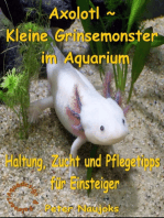 Axolotl ~ Kleine Grinsemonster im Aquarium: Haltung, Zucht und Pflegetipps für Einsteiger