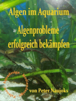 Algen im Aquarium: Algenprobleme erfolgreich bekämpfen