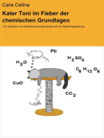 Kater Toni im Fieber der chemischen Grundlagen: Von Element und Verbindung auf geschickte Art zur Reaktionsgleichung