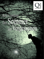 Der Sommer der Vergessenen: Band 1 von 2