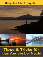 Nachtangeln - Tipps & Tricks für das Angeln: Der Ratgeber für Fischer und Angler