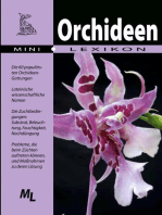 Orchideen - Mini-Lexikon: Lexikon