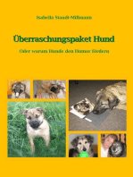 Überraschungspaket Hund: Oder warum Hunde den Humor fördern