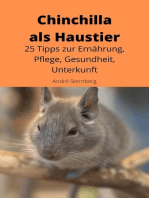 Chinchilla als Haustier: 25 Tipps zur Ernährung, Pflege, Gesundheit, Unterkunft