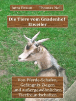 Die Tiere vom Gnadenhof Eiweiler