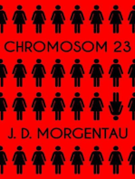 Chromosom 23