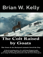 The Colt Raised by Goats