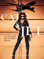 Cat and Jet II: Cat and Jet