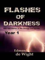 Flashes of Darkness Year 1: Flashes of Darkness, #1