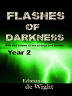 Flashes of Darkness Year 2: Flashes of Darkness, #2