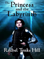 The Princess and the Labyrinth