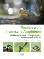 Wunderwelt heimische Amphibien: Alle 20 Arten im Porträt, Amphibienschutz, amphibienfreundlicher Garten
