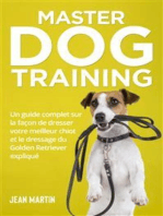 Master Dog Training: Un guide complet sur la façon de dresser votre meilleur chiot et le dressage du Golden Retriever expliqué