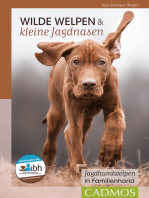 Wilde Welpen & kleine Jagdnasen: Jagdhundwelpen in Familienhand