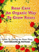 Rose Care an Organic Way to Grow Roses