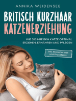 Britisch Kurzhaar Katzenerziehung: Wie Sie Ihre BKH Katze optimal erziehen, ernähren und pflegen - inkl. Rasseportrait und Praxistipps