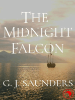 The Midnight Falcon