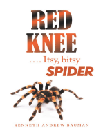 Red Knee …. Itsy, Bitsy Spider