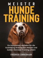 Meister Hundetraining