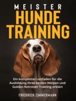 Meister Hundetraining: Ein kompletter Leitfaden für die Ausbildung Ihres besten Welpen und Golden Retriever Training erklärt