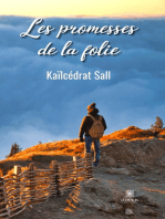 Les promesses de la folie: Recueil