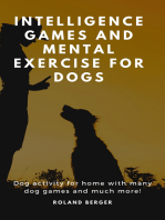 Intelligence Games and Mental Exercise for Dogs