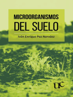 Microorganismos del suelo