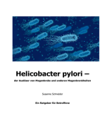 Helicobacter pylori: Der Auslöser von Magenkrebs und anderen Magenkrankheiten