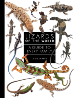 Lizards of the World