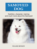 Samoyed dog: Nutrition, character, training and much more about the Samoyed