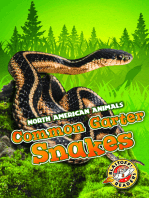 Common Garter Snakes